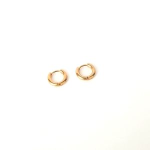New Golden Huggie Earrings